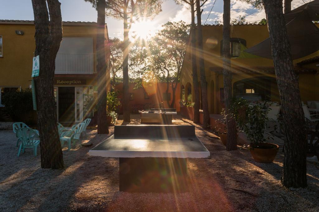 Ferienwohnung Domaine Des Mimosas Argelès-sur-Mer Exterior foto